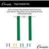 image:imageChampion Sports Flag Football SetGreen