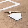 image:imageChampion Sports Home Plates  Durable Molded Rubber BaseballSoftball Home Base with Various Bottom amp Anchor Options InGround Waffle Metal or Hardwood Base Styles AvailablePro BuryAll Home Plate  Waffle Bottom