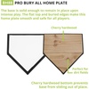 image:imageChampion Sports Home Plates  Durable Molded Rubber BaseballSoftball Home Base with Various Bottom amp Anchor Options InGround Waffle Metal or Hardwood Base Styles AvailablePro BuryAll Home PlateWood Bottom