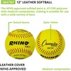 image:imageChampion Sports Softballs  Leather amp Synthetic Options for Practice or Games Multiple SizesLeather Poly Core Pack of 12
