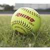 image:imageChampion Sports Softballs  Leather amp Synthetic Options for Practice or Games Multiple SizesSyntex Leather Poly Core Pack of 12