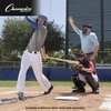 image:imageChampion Sports Ultra Lightweight Umpire Face Mask  Baseball amp Softball Umpire Equipment Steel Frame Leather PaddingAdult DryTekSilver