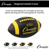 image:imageChampion Sports Weighted FootballBlueYellow