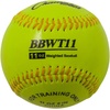 image:imageChampion Sports Weighted Training BaseballMulti