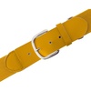 Gold/Yellow