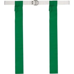 image:imageChampion Sports Flag Football SetGreen