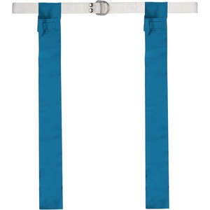 image:imageChampion Sports Flag Football SetRoyal Blue