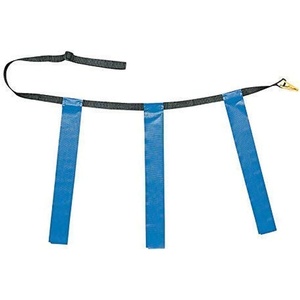 image:imageChampion Sports Quick Release Flag Football Set  Durable Belt 3 Detachable Flags amp Adjustable Fit 2550Blue Flags