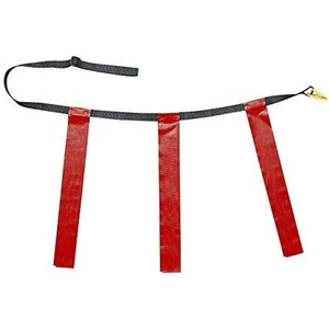 image:imageChampion Sports Quick Release Flag Football Set  Durable Belt 3 Detachable Flags amp Adjustable Fit 2550Red Flags