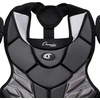image:imageChampion Sports 15 Lightweight Multilayered Pony League Chest Protector  Removable Shoulder Cap and Tail  Chest Protector  Ages 1216