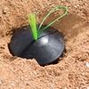 image:imageChampion Sports Black Rubber Baseball Anchor Plug Base Plug with Easy View Optic Stem and Rope2