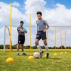 image:imageChampion Sports Coaching SticksYellow Set of 6 With Base