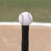 image:imageChampion Sports Deluxe Batting Tee  Adjustable Rubber Baseball amp Softball Tee on Home Plate Multiple StylesDeluxe Batting Tee