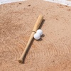 image:imageChampion Sports Dimple Pitching Machine BaseballWhite