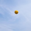 image:imageChampion Sports Dimple Pitching Machine BaseballYellow