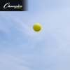 image:imageChampion Sports Dimpled Pitching Machine SoftballOptic Yellow