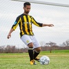 image:imageChampion Sports Elite Soccer BallMulti
