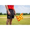 image:imageChampion Sports Official Soccer Diamond Linesmans Flag  Set of 2 with Carry Case