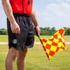 image:imageChampion Sports Official Soccer Diamond Linesmans Flag  Set of 2 with Carry Case