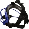 image:imageChampion Sports Steel Softball Face Mask  Durable Fielders Mask for Youth amp Adults Multiple Colors for Practice amp GamesBlue