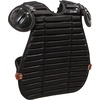 image:imageChampion Sports Umpire Inside Body Protector  Umpire Chest Protector for BaseballSoftball Officials  Padded Umpire Inside Body Protector For Adults