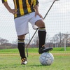 image:imageChampion Sports Viper Soccer Ball  TPU SoftTouch Training Ball in Sizes 345 for IndoorOutdoor PlaySize 5