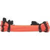 image:imageChampion SportsBright Red