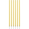image:imageChampion Sports Coaching SticksYELLOW