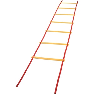 image:imageChampion Sports Economy Agility Ladder