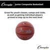 image:imageChampion Sports Composite Basketball  IndoorOutdoor Play  Official Intermediate amp Junior Sizes  Durable Grip amp Air RetentionJunior  Size 5 275