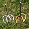 image:imageChampion Sports Horseshoe Set Traditional Outdoor Lawn Game includes Four Professional Solid Steel Horseshoes with Solid Steel Stakes amp Carrying Storage CaseDeluxe Set