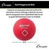 image:imageChampion Sports Playground Ball  Durable HighBounce Ball Sizes 5 6 7 10 13 amp 16 for Gym Recess amp Play6 Diameter