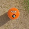 image:imageChampion Sports Playground BallOrange