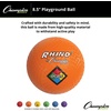 image:imageChampion Sports Playground BallOrange