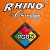 image:imageChampion Sports Playground BallOrange