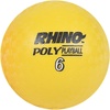 image:imageChampion Sports Poly Playground Ball SetMulti