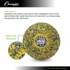 image:imageChampion Sports Premium Rhino Skin Extreme Color Dodgeballs  Glow in the Dark ColorChanging and Spider Grip  Low Bounce Dodgeballs