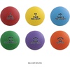 image:imageChampion Sports Rhino Max Playground Ball Sets  Available in Mulitple Activity StylesSequencing Playground Ball Set
