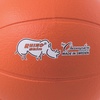 image:imageChampion Sports Rhino Skin Basketball