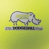 image:imageChampion Sports Rhino Skin Low Bounce Dodgeball Sets amp Singles for Playground PE Backyard amp League Games  Team Sports Equipment for Youth amp AdultsNeon Yellow