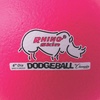 image:imageChampion Sports Rhino Skin Low Bounce Dodgeball Sets amp Singles for Playground PE Backyard amp League Games  Team Sports Equipment for Youth amp AdultsNeon Pink