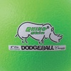 image:imageChampion Sports Rhino Skin Low Bounce Dodgeball Sets amp Singles for Playground PE Backyard amp League Games  Team Sports Equipment for Youth amp AdultsNeon Green