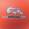 image:imageChampion Sports Rhino Skin Low Bounce Dodgeball Sets amp Singles for Playground PE Backyard amp League Games  Team Sports Equipment for Youth amp AdultsNeon Orange