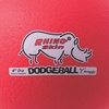 image:imageChampion Sports Rhino Skin Low Bounce Dodgeball Sets amp Singles for Playground PE Backyard amp League Games  Team Sports Equipment for Youth amp AdultsNeon Red