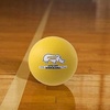 image:imageChampion Sports Rhino Skin Low Bounce Ultra Grip Dodgeball Set