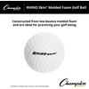 image:imageChampion Sports Rhino Skin Molded Foam Balls