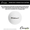 image:imageChampion Sports Rhino Skin Molded Foam Balls