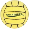 image:imageChampion Sports Soccer and Volleyball Foam Ball Sets of 6  Soft 8 Inch Diameter UltraLight Foam  Lightweight amp Durable for Indoor Play Safe amp Perfect for Young Players  Multiple Colors8 Inch Volleyballs Set of 6