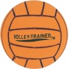 image:imageChampion Sports Soccer and Volleyball Foam Ball Sets of 6  Soft 8 Inch Diameter UltraLight Foam  Lightweight amp Durable for Indoor Play Safe amp Perfect for Young Players  Multiple Colors8 Inch Volleyballs Set of 6