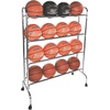 image:imageChampion SportsSilver